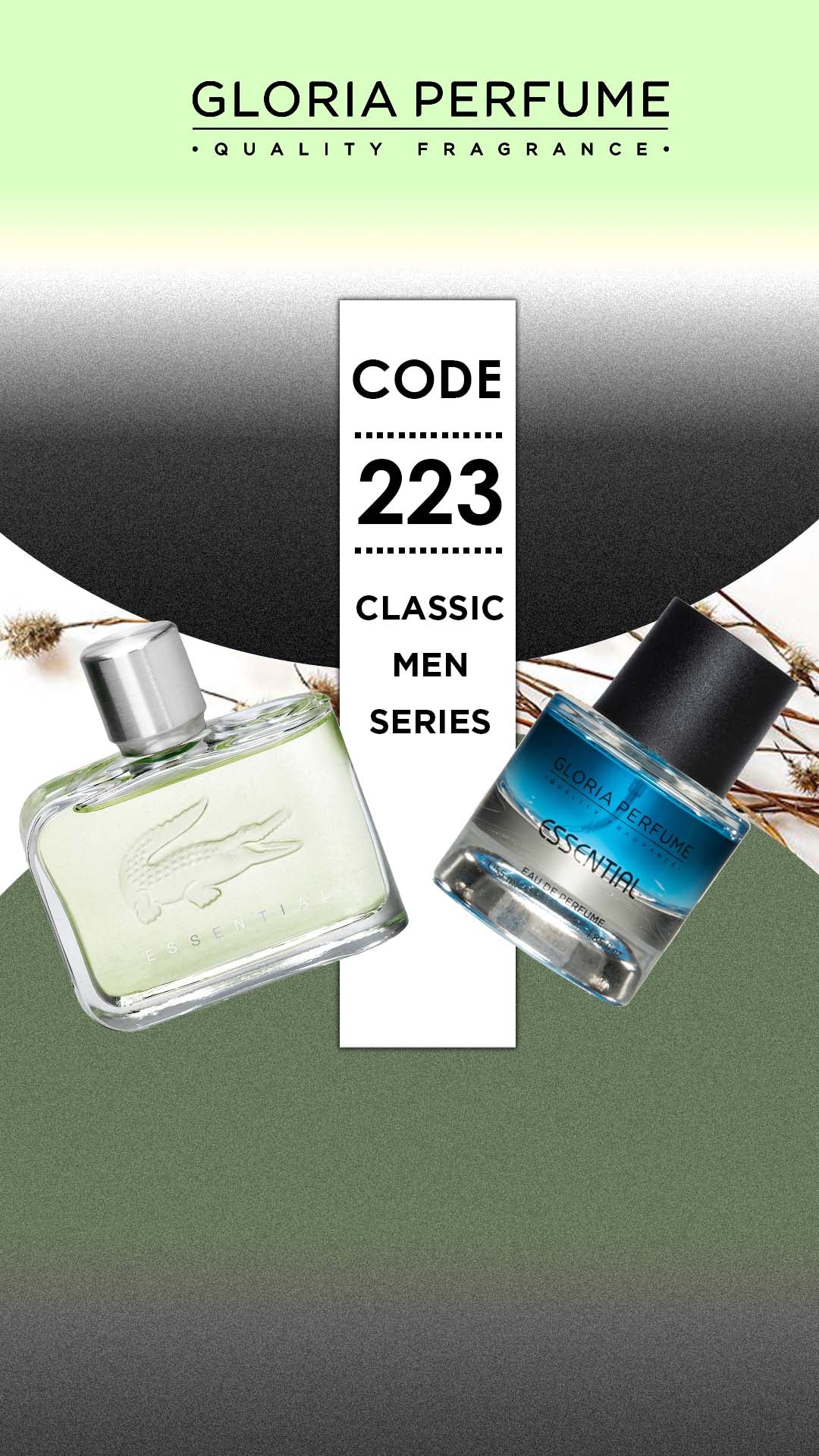 LACOSTE ESSENTIAL - Laxe Online