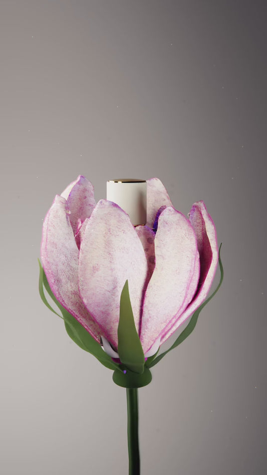 گولاڤا ئەلشاهی